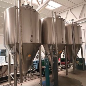 2 Fermentadores isobáricos de 50 hl