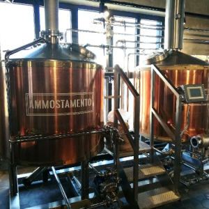 El lote incluye: Sala de cocción 500 litros/batch Vapor Eco Brew Tech