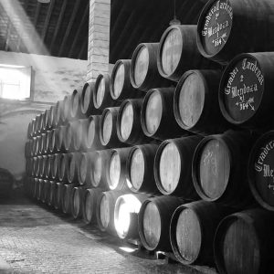 Lote de Barricas y Bocoyes de Oloroso y Manzanilla